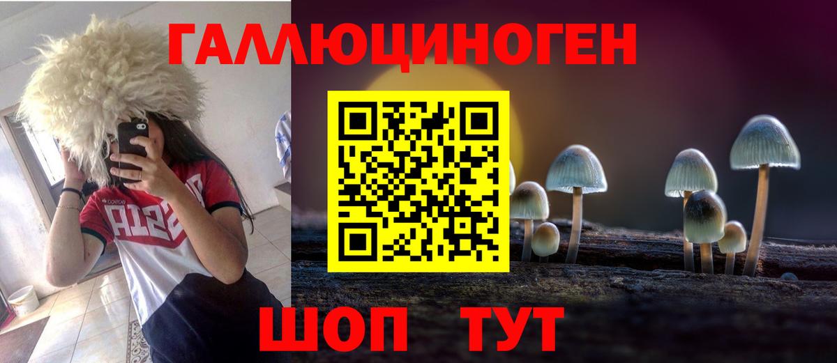 Галлюциногенные грибы Psilocybe Камышлов
